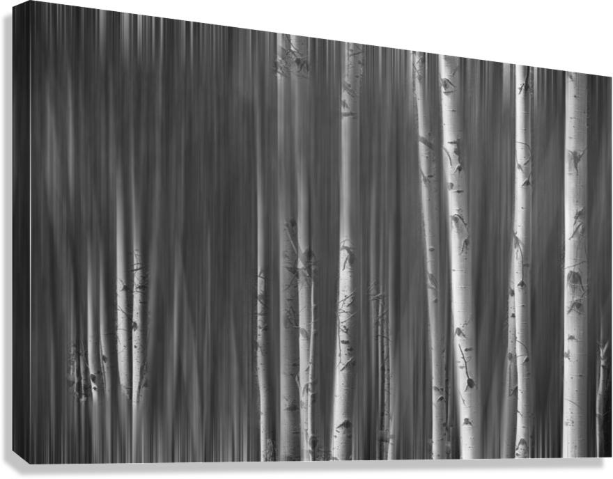Somewhere Along the Road Dreaming Black and White  Canvas Print
