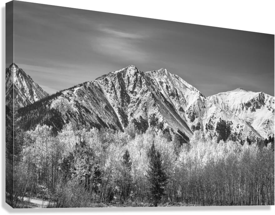 Rocky Mountain Autumn High In Black and White  Canvas Print