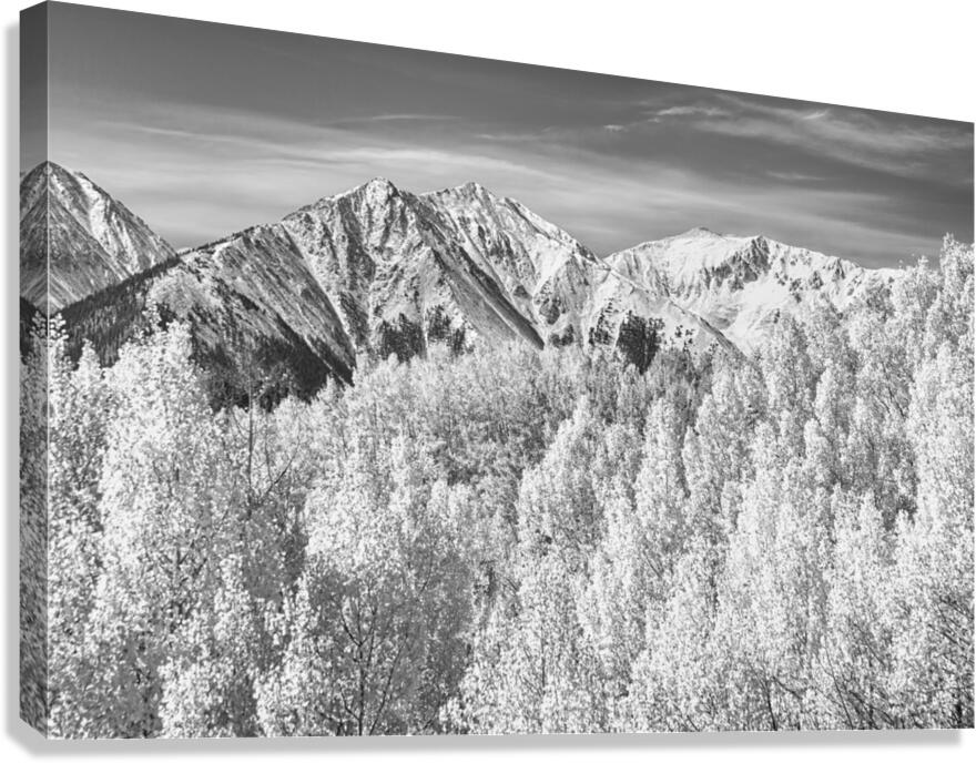 Colorado Rocky Mountain Autumn Beauty Black and White  Canvas Print