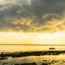 Golden Horizons Drift with the Tide