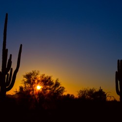 Just Another Sonoran Desert Sunrise