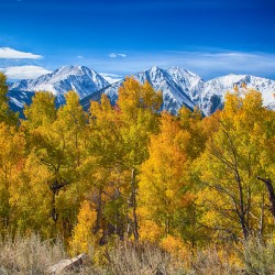 Independence Pass Autumn View