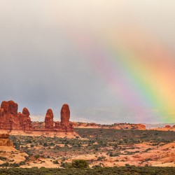 A Desert Rainbows Vibrant Display