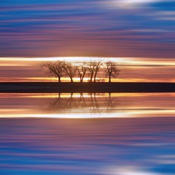 Close Encounters Four