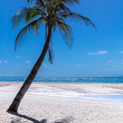 White Sand Beaches and Tropical Blue Skies
