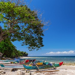 Tropical Island Panorama Paradise