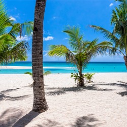 Tropical Vacation View