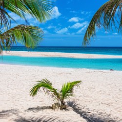 Tropical White Sand Beaches Vacation View