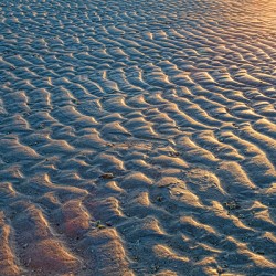 Ripples In The Sand