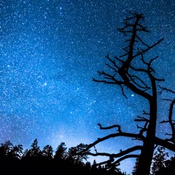 Starry Night at Bryce Canyon