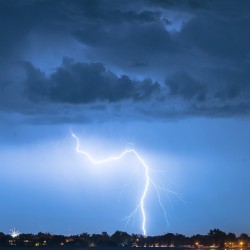 Skys Electric Vein Hooked