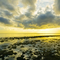 Where the Sky Meets the Tides