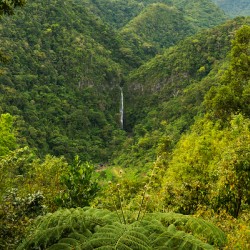 Emerald Veil of Negros