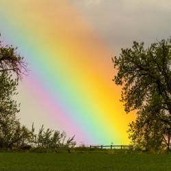 Where The Rainbow Meets The Earth