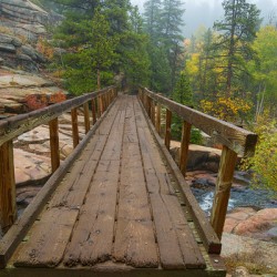 Rustic Wood Hiking Bridge Crossing