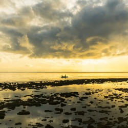 Golden Waters Carry the Morning Light