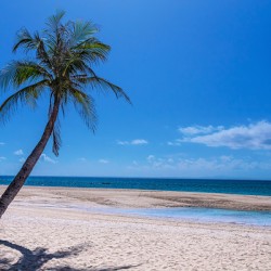 Tropical Blue Skies And White Sand Beaches