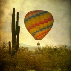 Desert Ascension Fine Art Hot Air Balloon