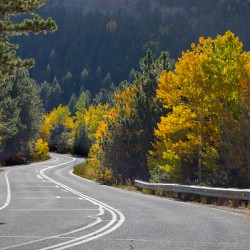 Autumn Journey: Winding Through Boulder Countys Canyon Splendor