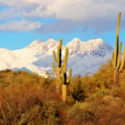 Four Peaks Arizona Desert Landscape