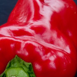 Red Pepper Bringing Sexy Back