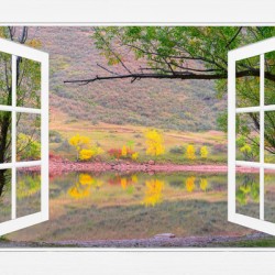 Autumn Lake Open White Picture Window View