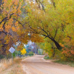 Autumns Enchantment - The Country Road Canopy