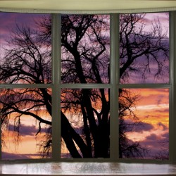Beautiful Sunset Bay Window View