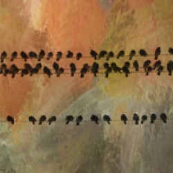 Birds On The Lines