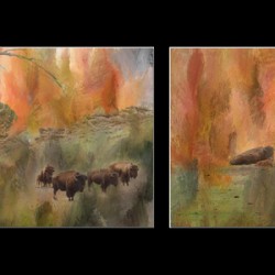 Bison Herd Diptych