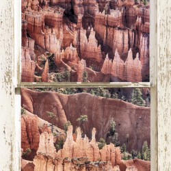 Bryce Canyon Utah View Through White Window
