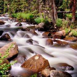 Cascading Rocky Mountain Forest Creek