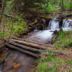 Creek Crossing Forest Woods