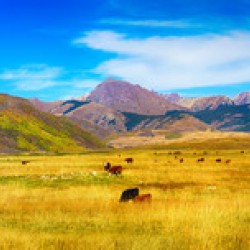 Crested Butte Panorama1
