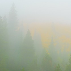 Deep in the Fog