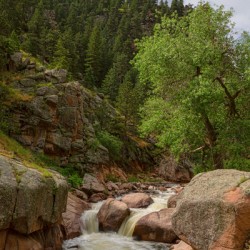 Getting Lost In A Canyon Creek