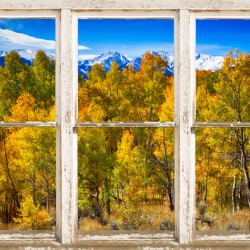 Independence Pass Autumn Colors White Barn Window