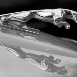 Jaguar Car Hood Ornament Reflection BW