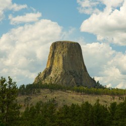 Majestic Devils Tower in Wyoming Amidst Pine Forest