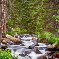 Mountain Stream