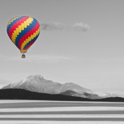 One Way Ticket To Paradise