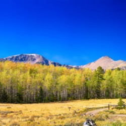 Panorama Autumn Bonanza