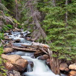 Rocky Mountain Stream