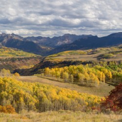 Rocky Mountain Valley Color Panoramic View
