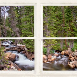 Rocky Mountains Forest Stream Rustic Window