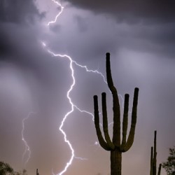 Sonoran Desert Monsoon Storming