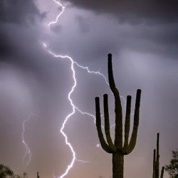 Sonoran Desert Monsoon Storming