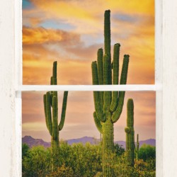 Southwest Desert Sunset View White Window