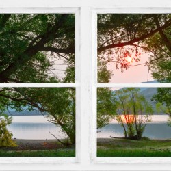 Sun Glowing Lush Trees Lakeside Whitewash Window