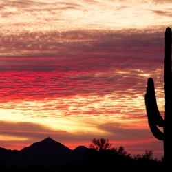 Tequila Sunrise Landscape